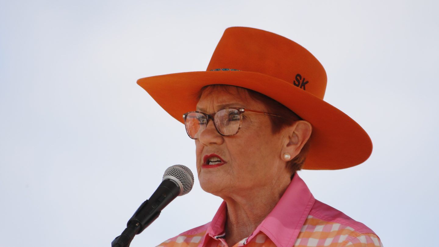 One Nation leader Pauline Hanson, wearing an orange hat, speaks into a microphone outdoors